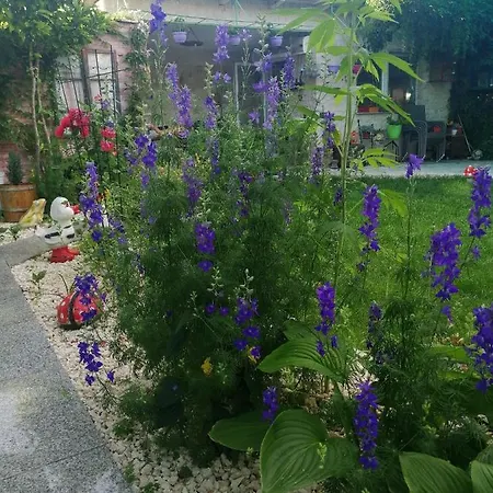 アパート Uspinjaca *